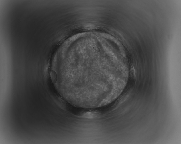 X0000100890364200807151102