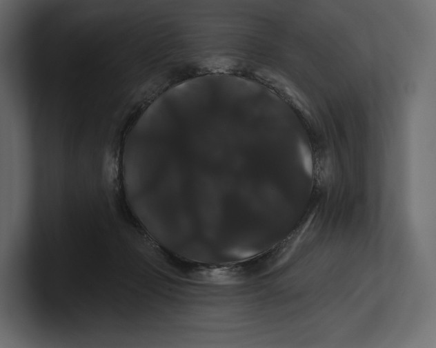 X0000100890365200807151102