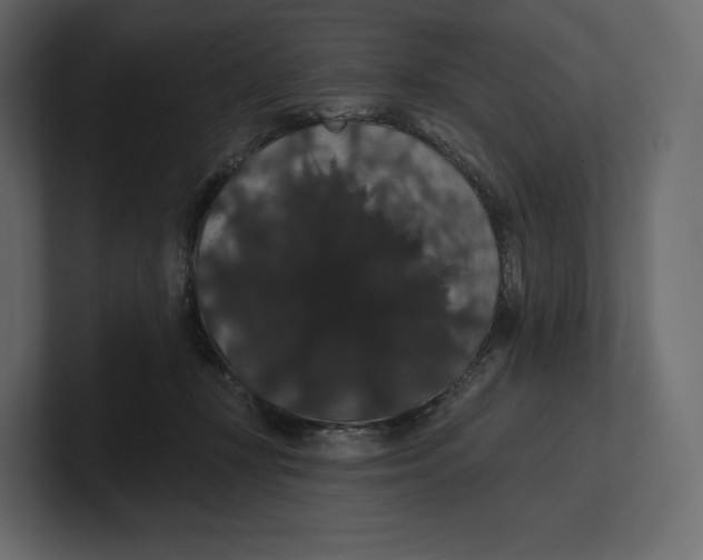 X0000100890367200807151102