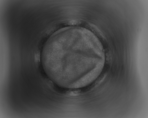 X0000100890368200807151102