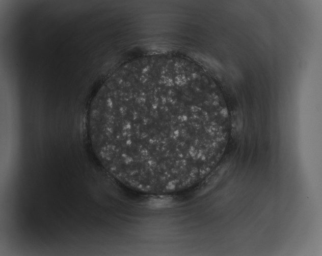 X0000100890369200807151102