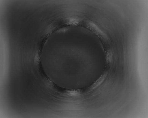 X0000100890370200807151102