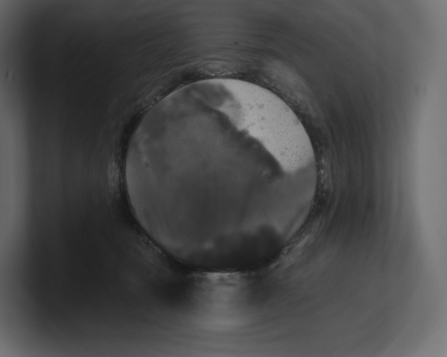 X0000100890371200807151102