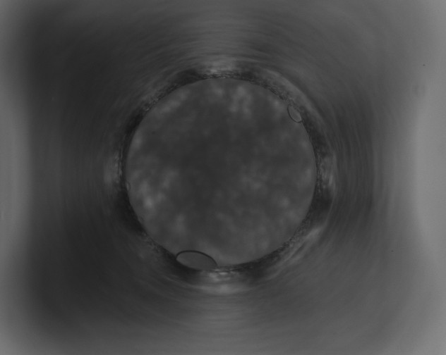 X0000100890372200807151102