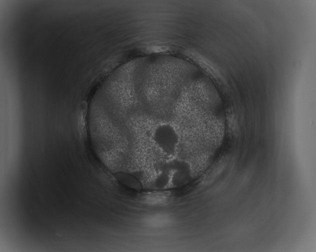 X0000100890373200807151102