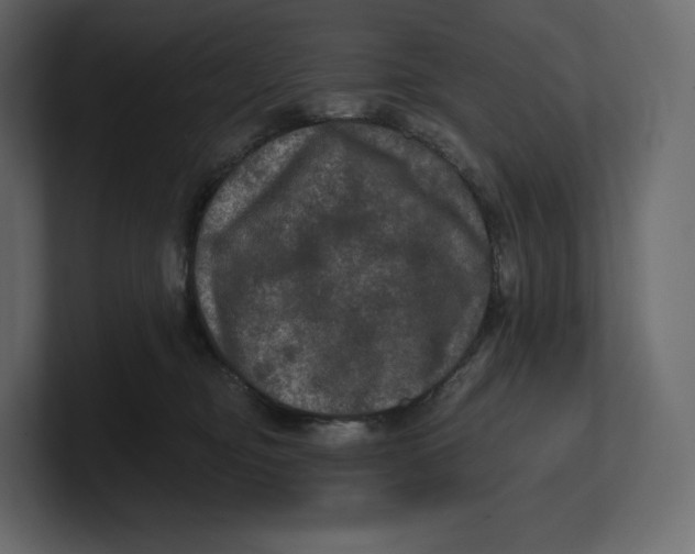 X0000100890374200807151102