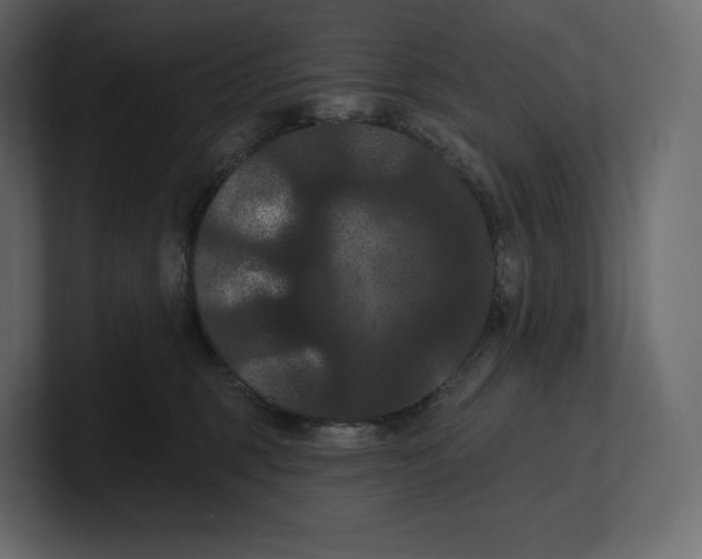 X0000100890375200807151102