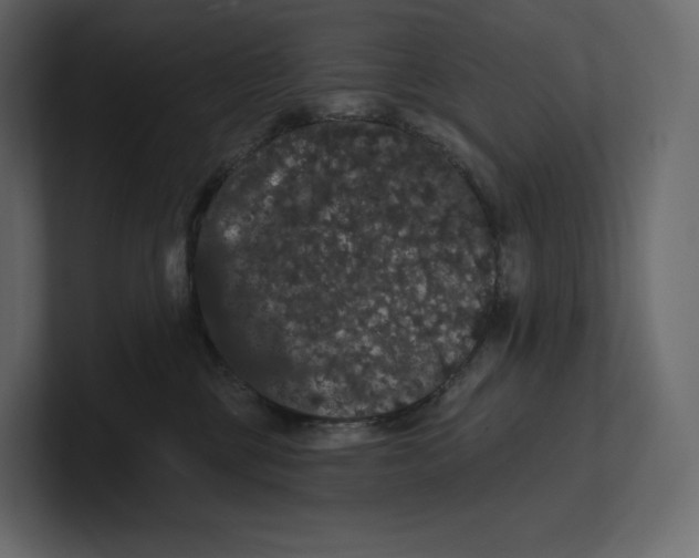 X0000100890377200807151102