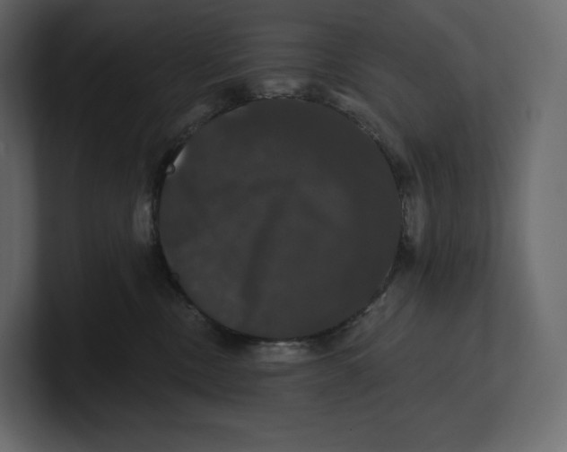 X0000100890378200807151102