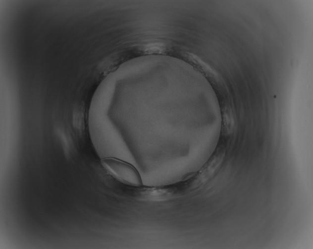 X0000100890379200807151102