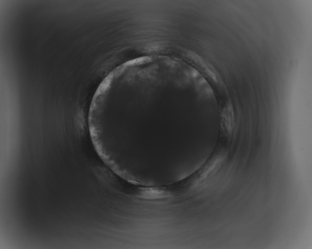 X0000100890380200807151102