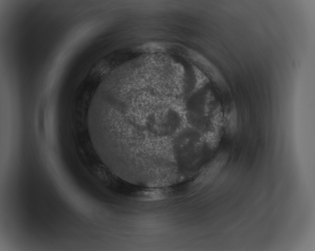 X0000100890381200807151102