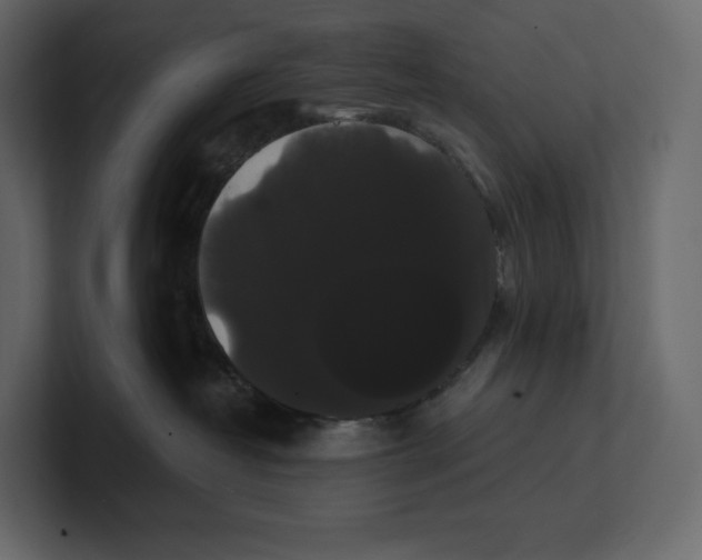 X0000100890382200807151102