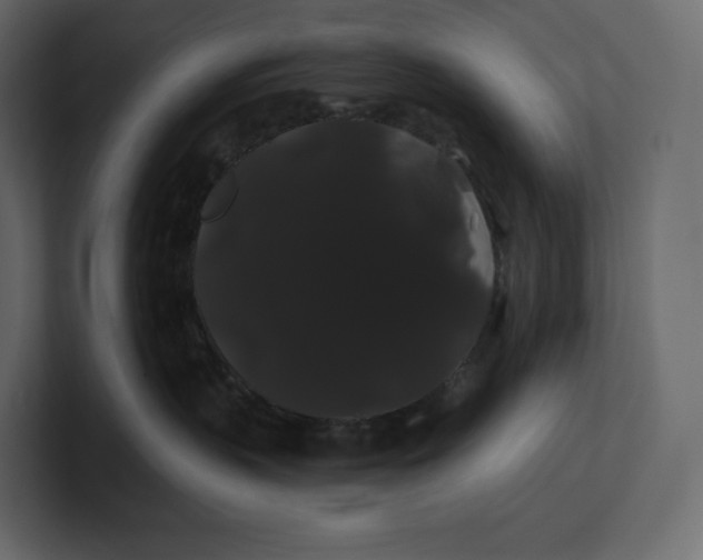 X0000100890383200807151102