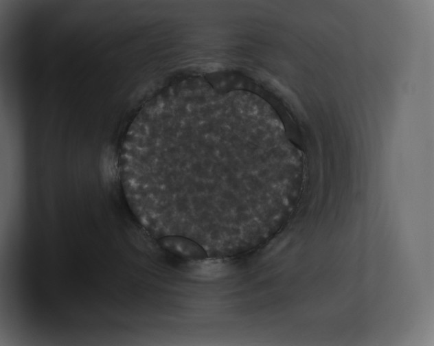 X0000100890384200807151102