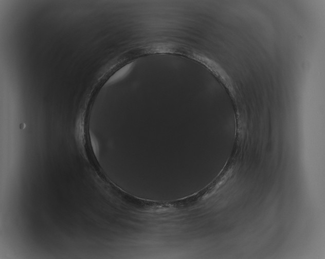 X0000100890386200807151101