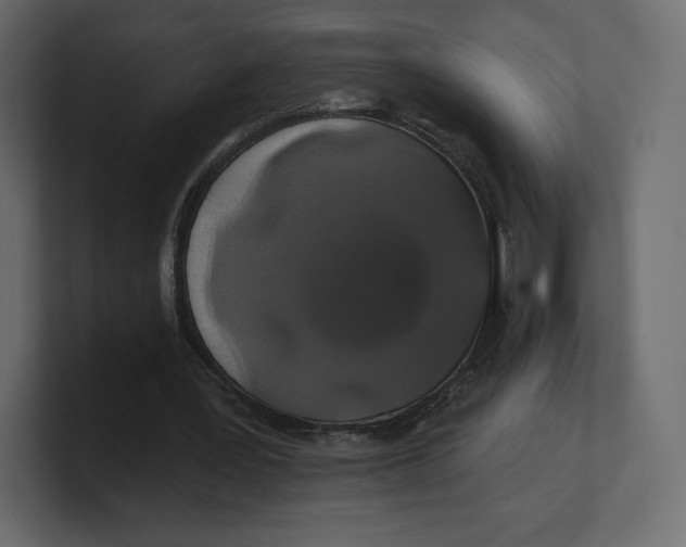 X0000100890387200807151101