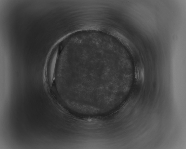 X0000100890388200807151101