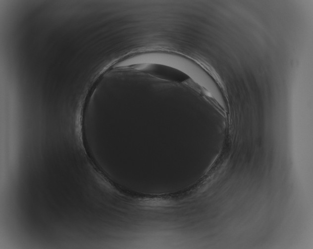 X0000100890389200807151101