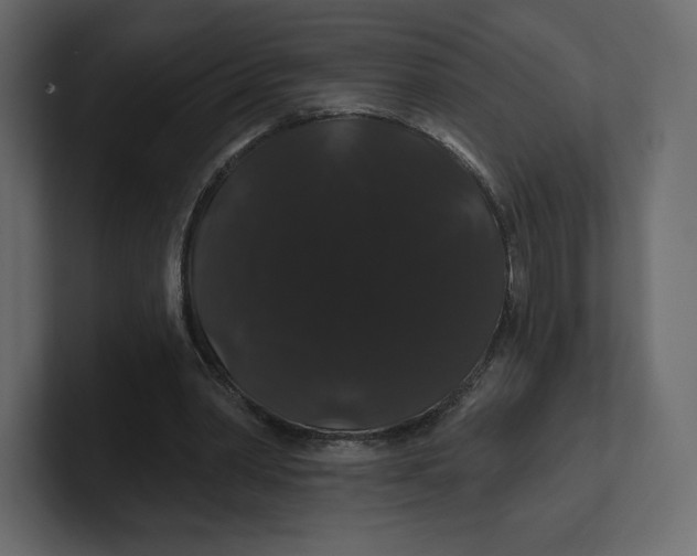 X0000100890390200807151101