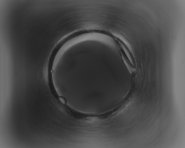 X0000100890391200807151101