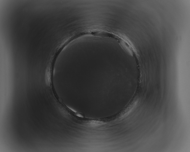 X0000100890393200807151101