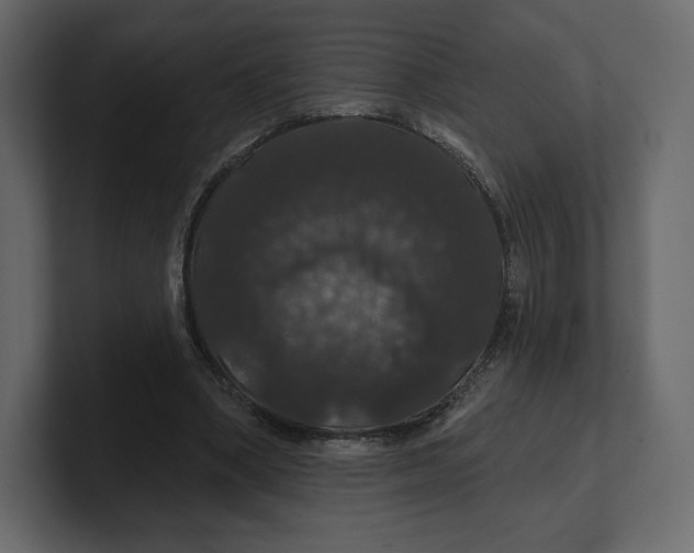 X0000100890394200807151101