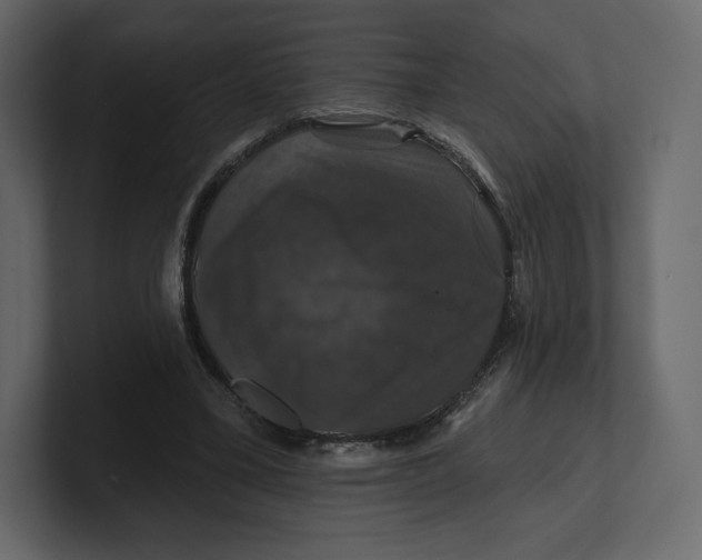 X0000100890395200807151101