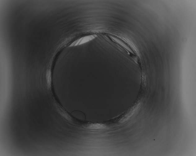 X0000100890397200807151101