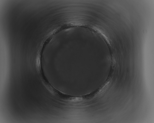 X0000100890398200807151101