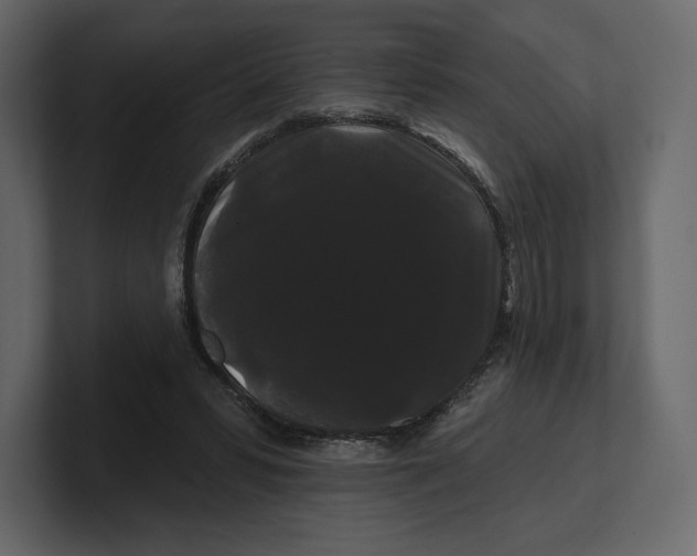 X0000100890399200807151101