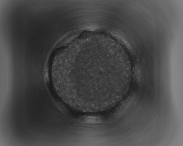 X0000100890400200807151101