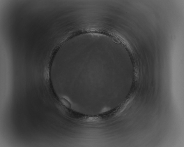 X0000100890401200807151101