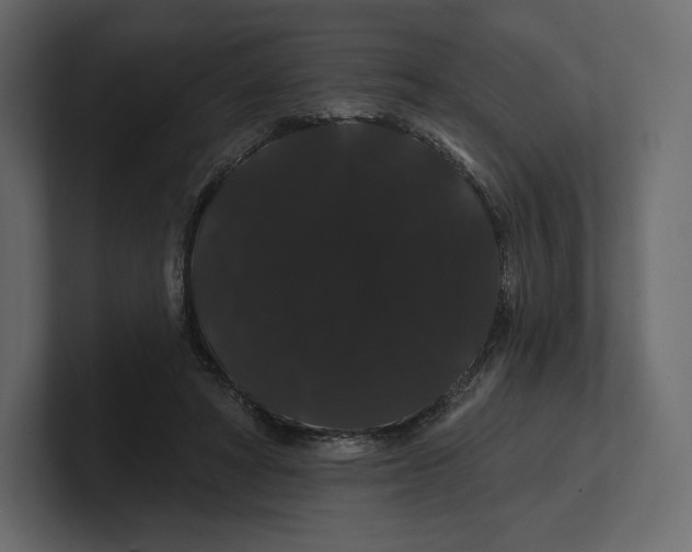 X0000100890402200807151101