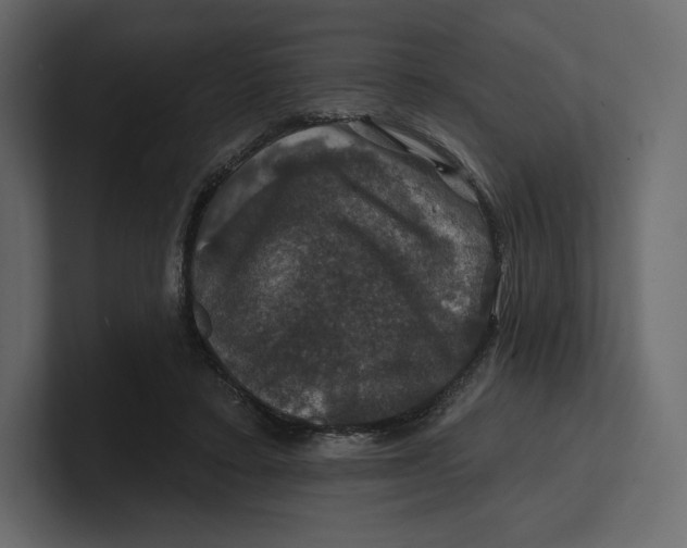 X0000100890403200807151101