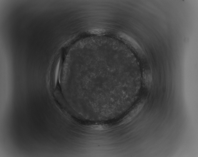 X0000100890404200807151101