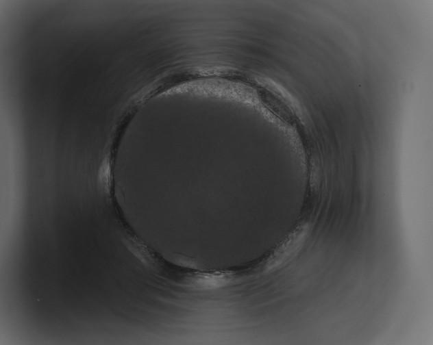 X0000100890405200807151101