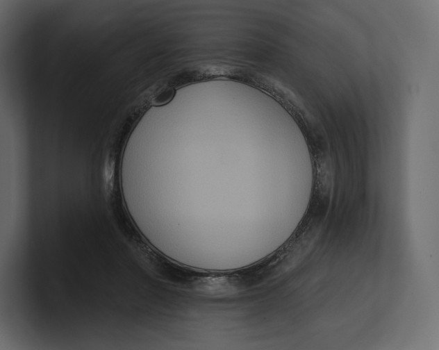 X0000100890406200807151101