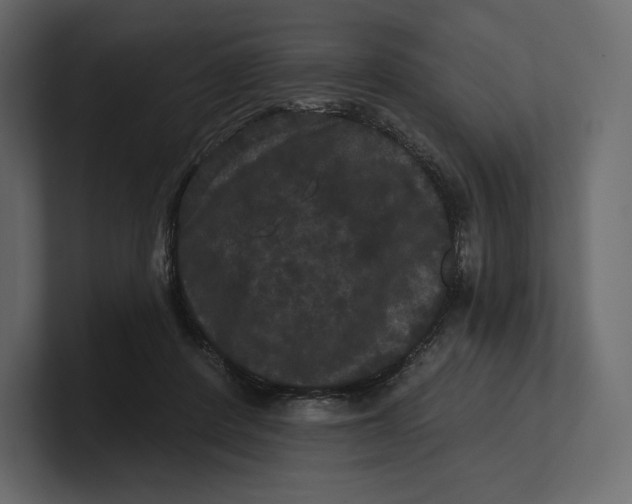 X0000100890408200807151101