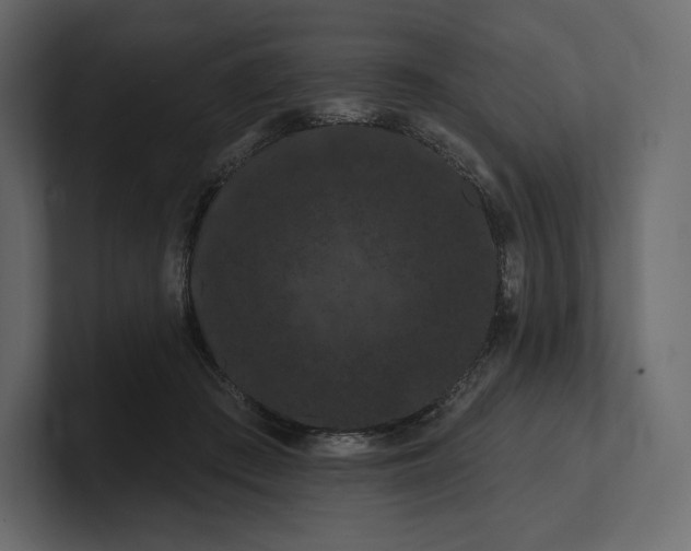 X0000100890409200807151101