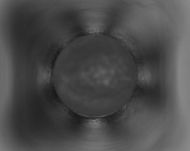 X0000100890411200807151101