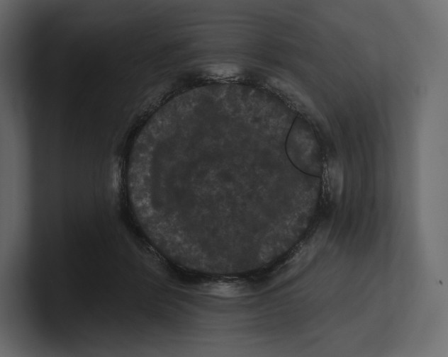 X0000100890412200807151101