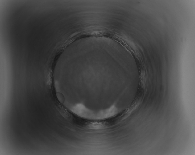 X0000100890413200807151101