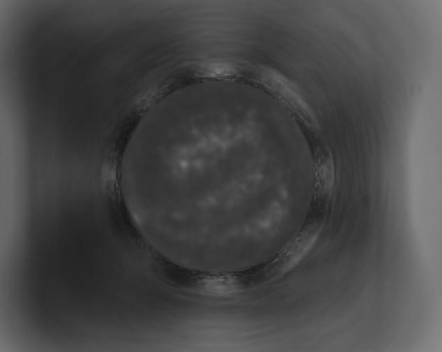 X0000100890415200807151101