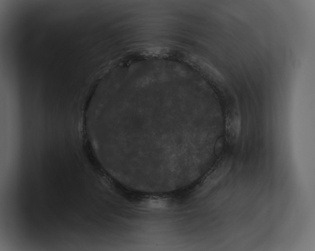 X0000100890416200807151101