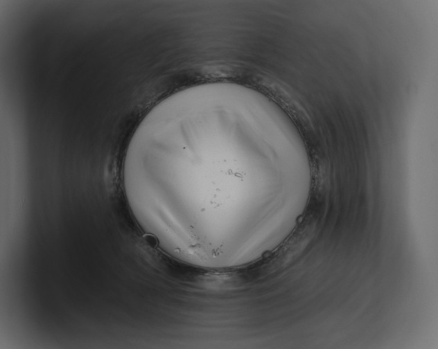 X0000100890418200807151101