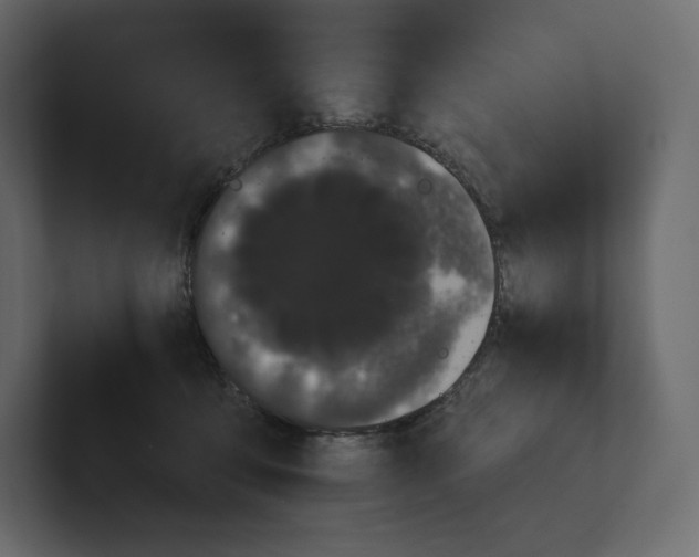 X0000100890419200807151101