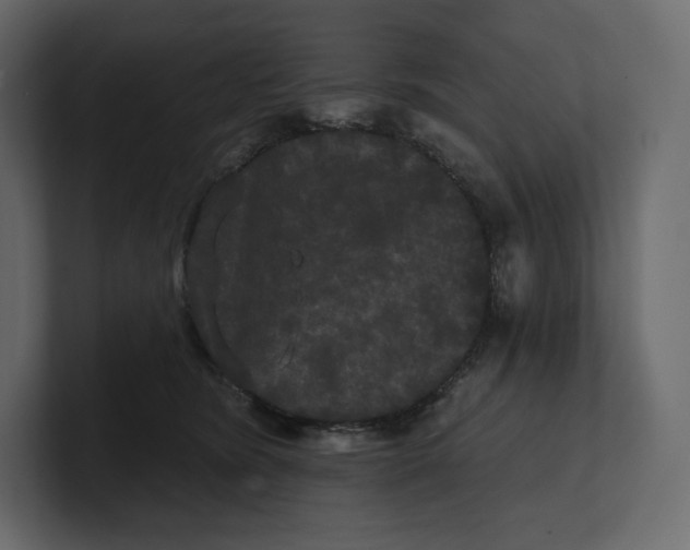 X0000100890420200807151101