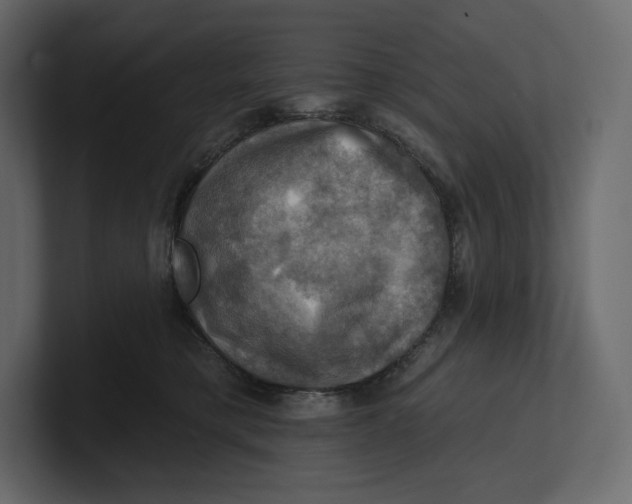 X0000100890421200807151101