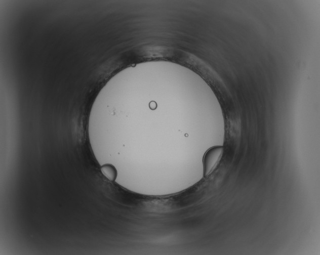 X0000100890422200807151101